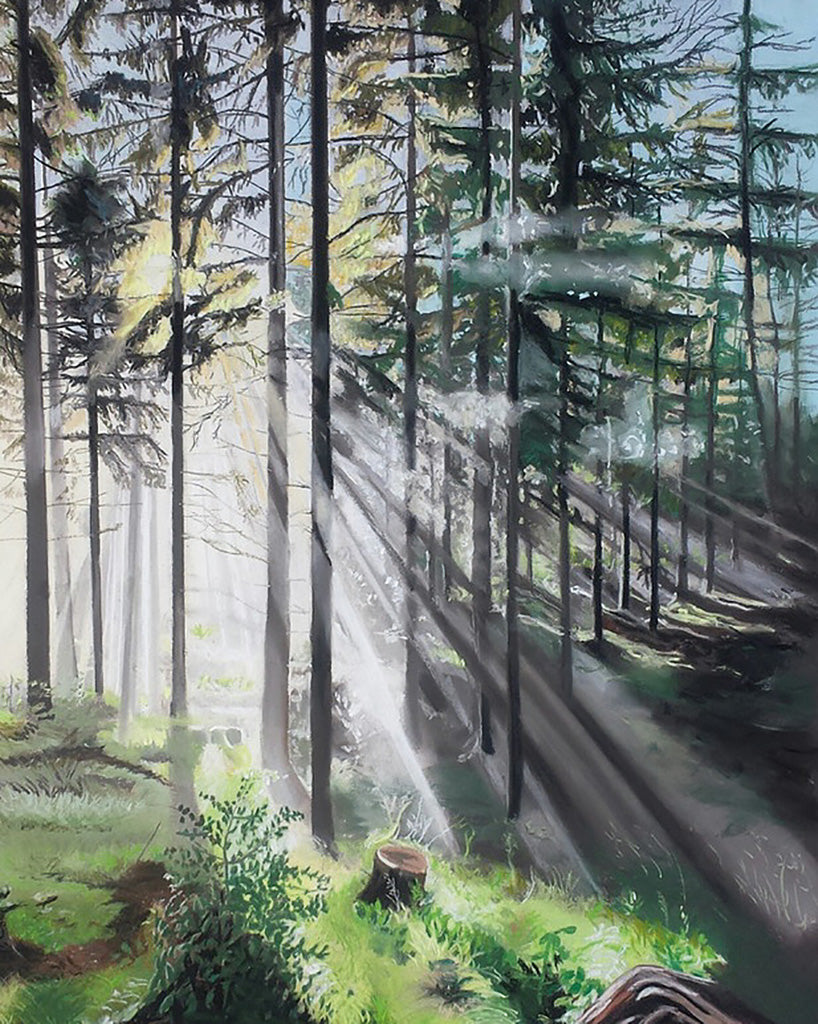 Nora Bruhm art sunlight through a forest