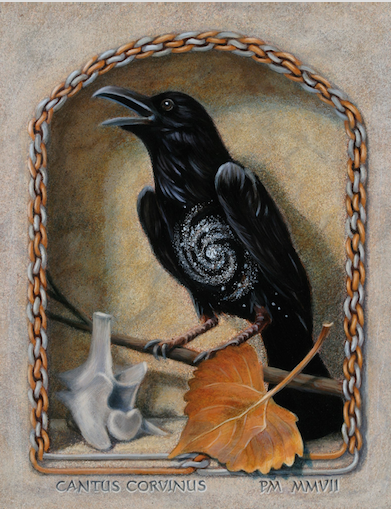 Crow or raven art with skull