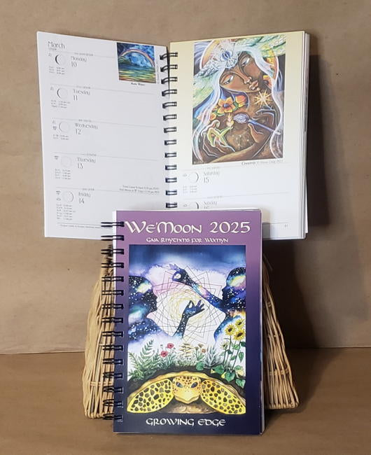 Cafe Astrology 2025 Calendar - Lucy Violette
