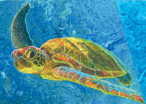 Turtle Gift Card